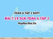 Bài 7.19 SGK Toán 6 tập 2 Kết nối tri thức